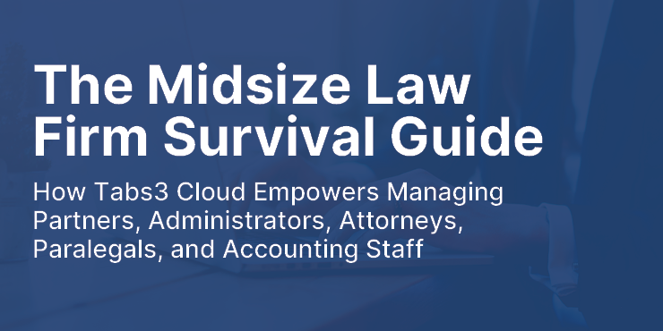 Midsize Law Firm Survival Guide - Updated LP image-1
